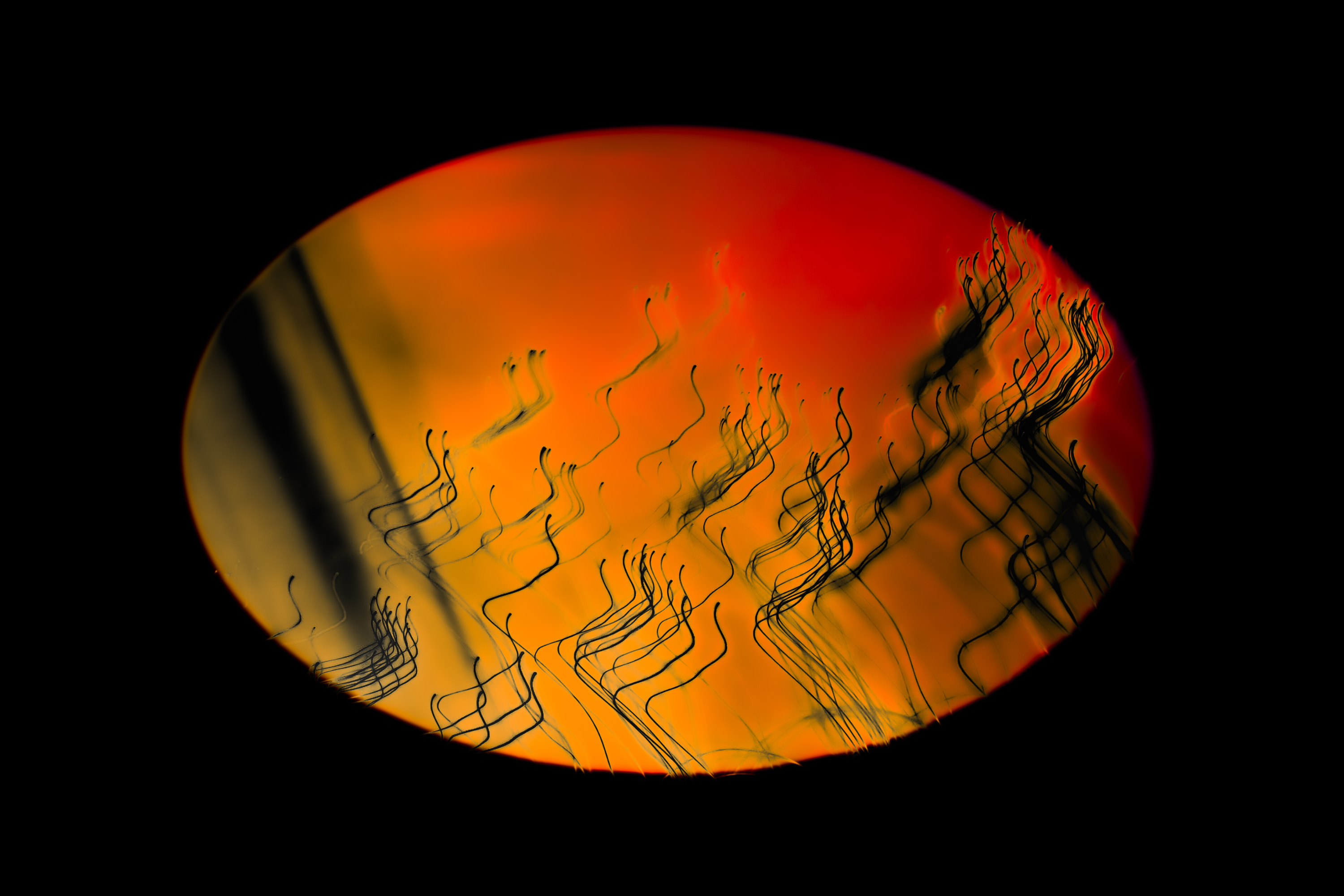 Vignette Landscape - Digital