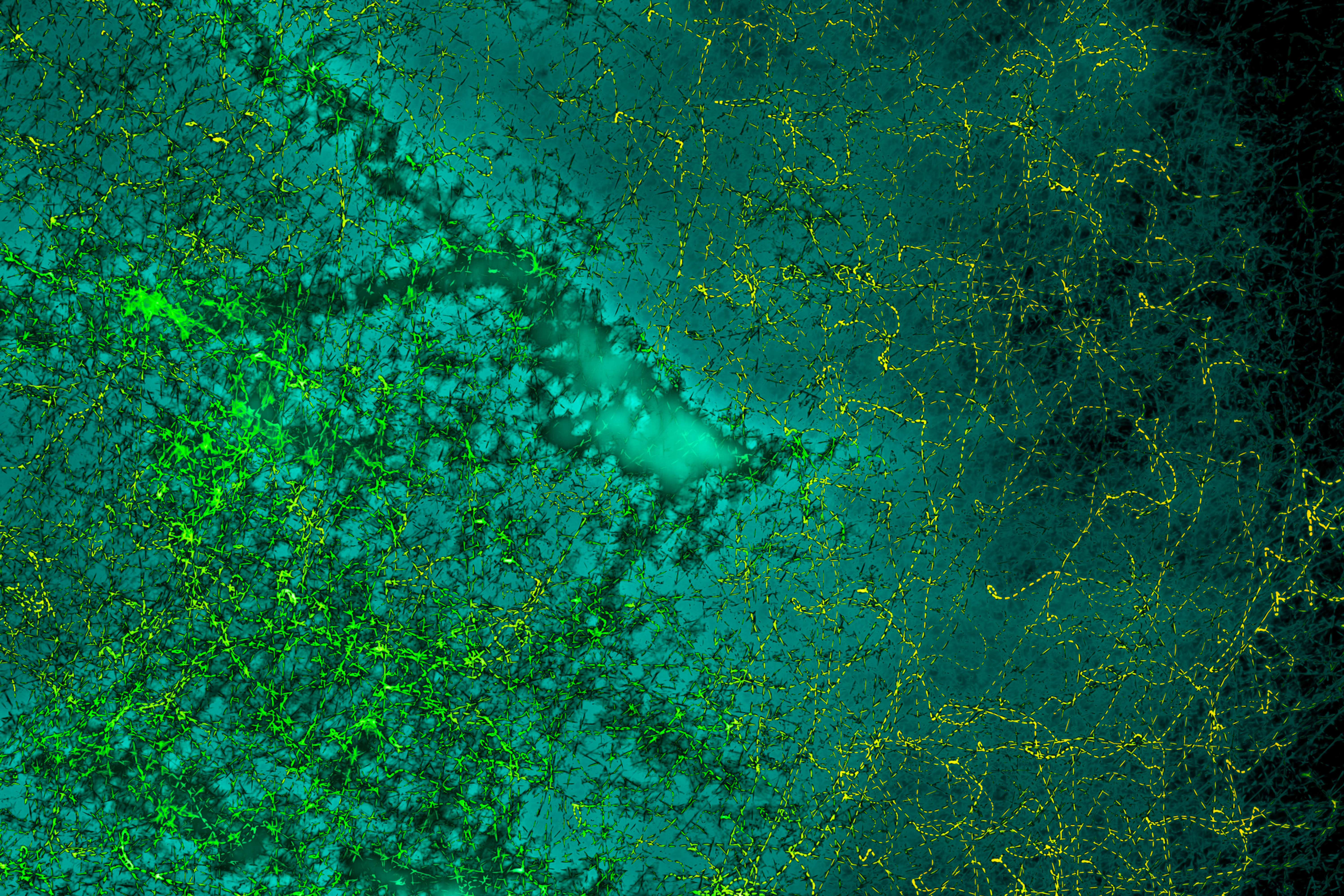 Lightscapes - Physical