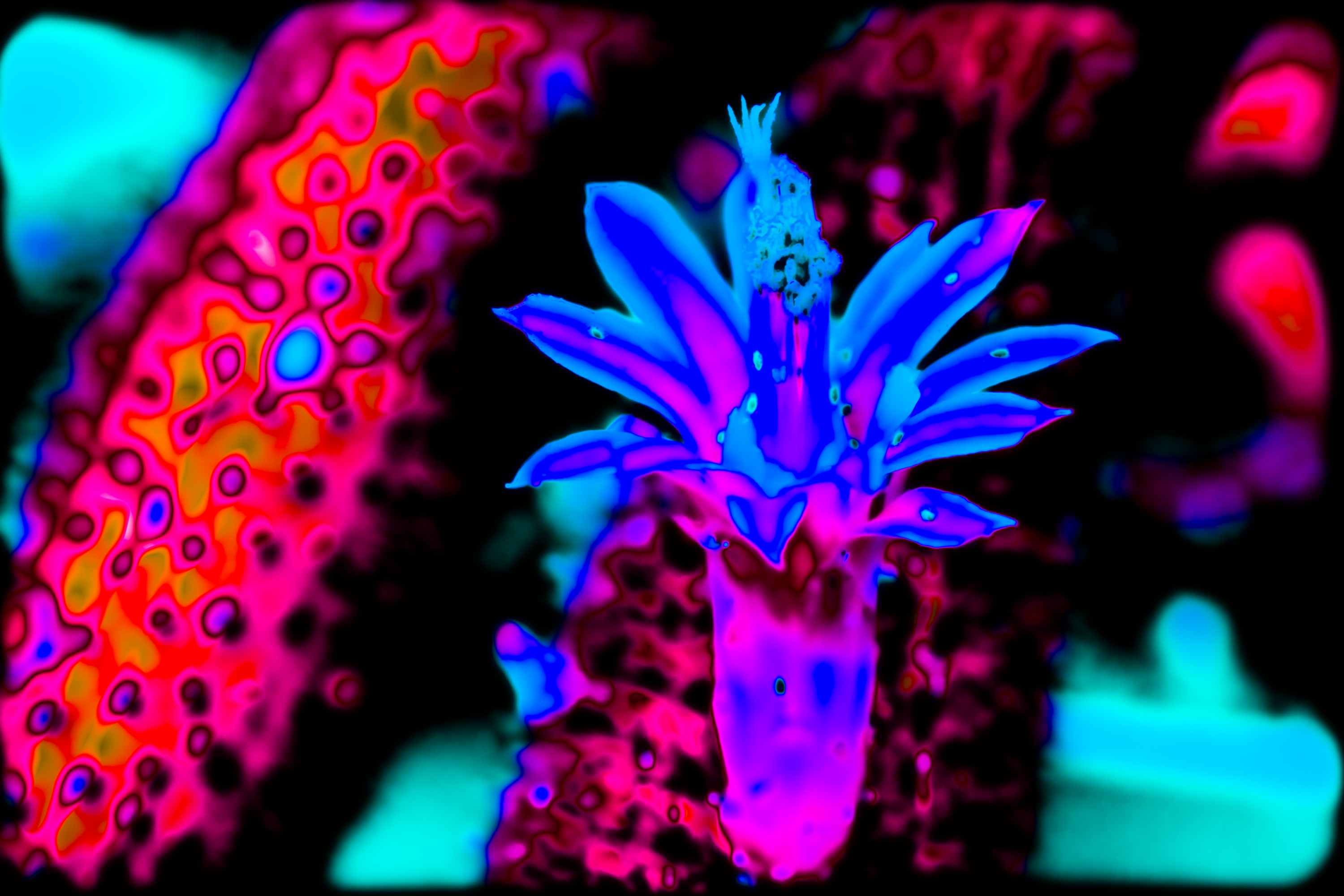 Psychedelicscapes - Digital