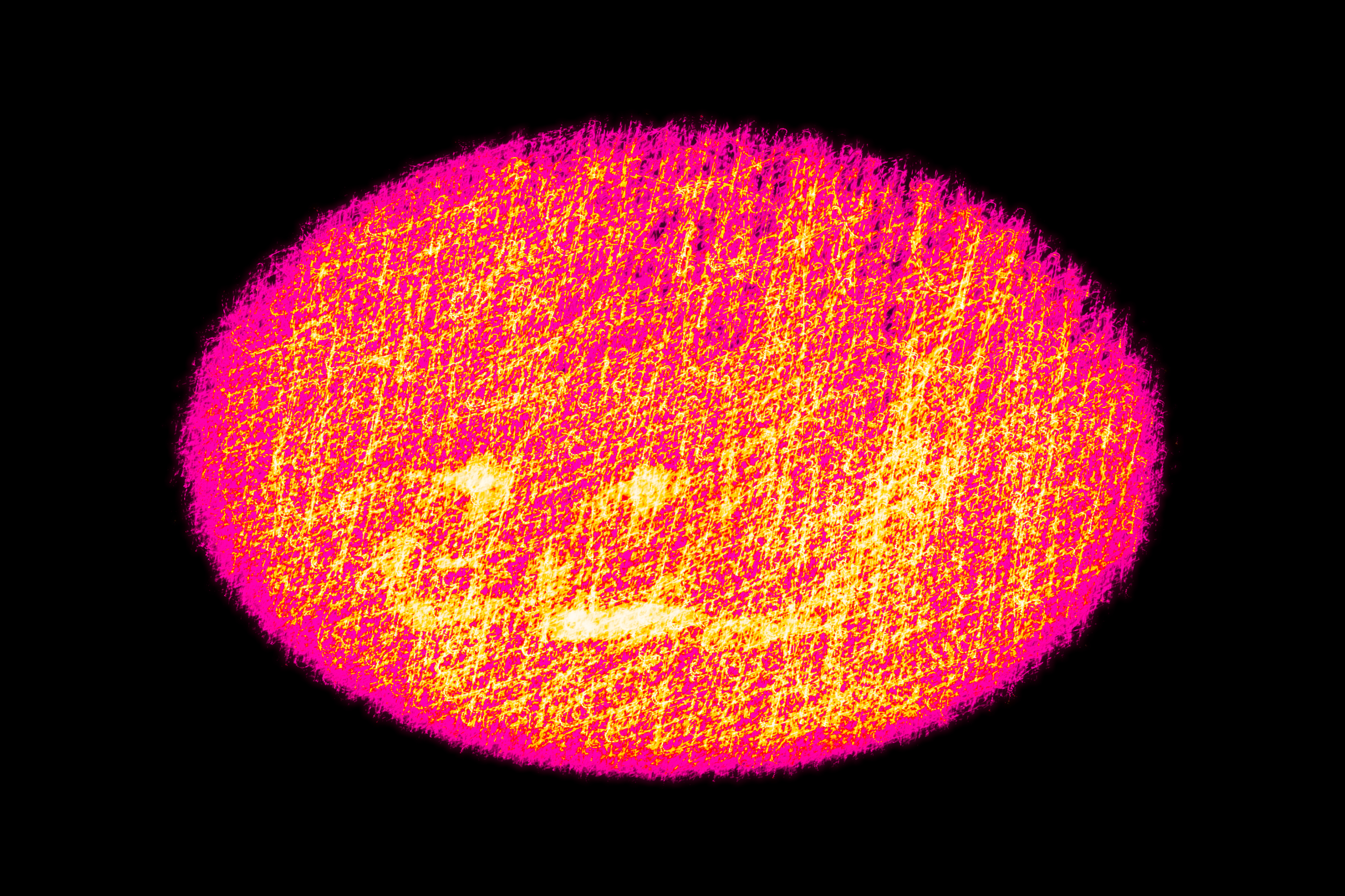 Vignette Landscape - Digital