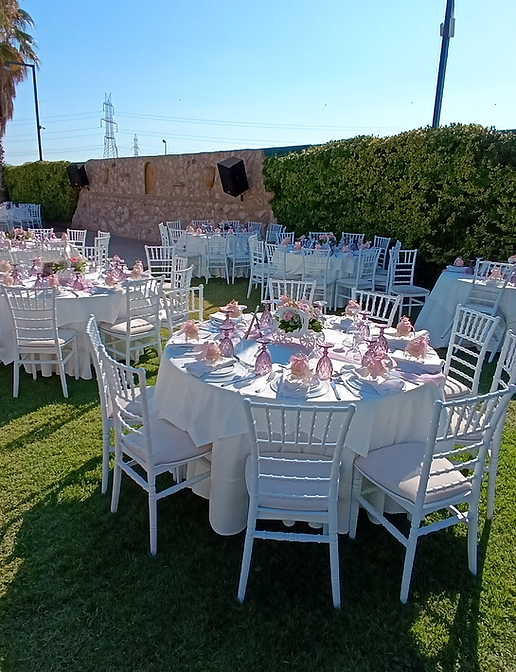 ΒΑΠΤΙΣΗ ΠΟΛΥΧΩΡΟΣ ΑΠΟΛΛΩΝΙΑ ΠΑΙΑΝΙΑ 14.png