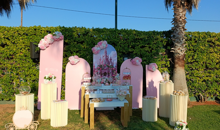 Βάπτιση Πολυχώρος Απολλώνια Με Θεματικό Πριγκίπισσες