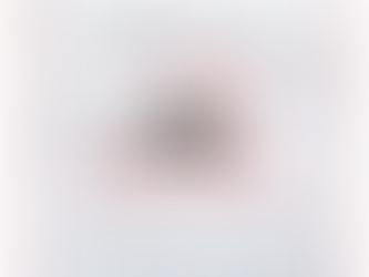 Dinescu Racing - TRAK Race 1 Recap