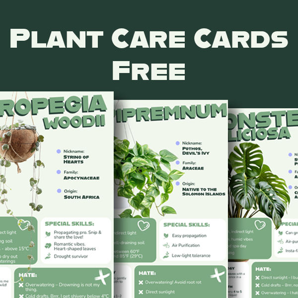 Free Plants care guides showcase