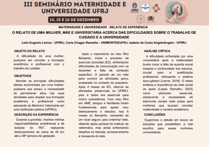 O pôster é visualmente estruturado com títulos, nomes de autores e elementos gráficos de cores sóbrias