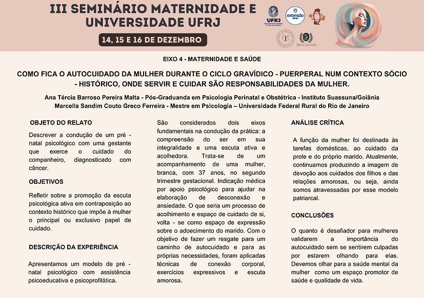 O pôster é visualmente estruturado com títulos, nomes de autores e elementos gráficos de cores sóbrias