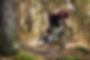 Fotos Accion_ORBEA RISE_66.jpg