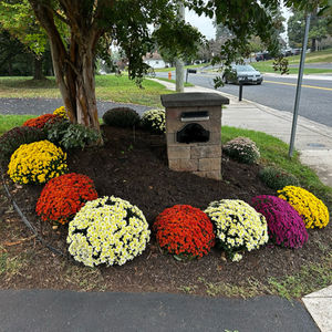 Landscaping and Mowing
