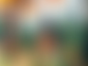 Could you survive Finnish Culture? Take This Test to Find Out!