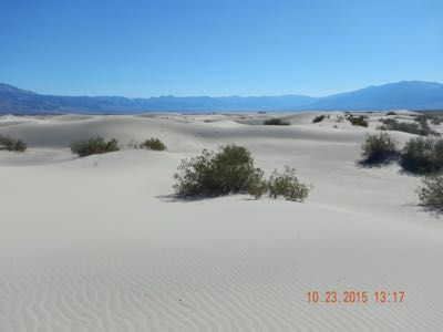 Sand Dunes.jpg