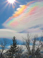 20f614ae-ac7a-4b58-9073-18cd739f96f1-large3x4_Jenniferlametsundog1.jpg