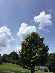 clouds 1.JPG