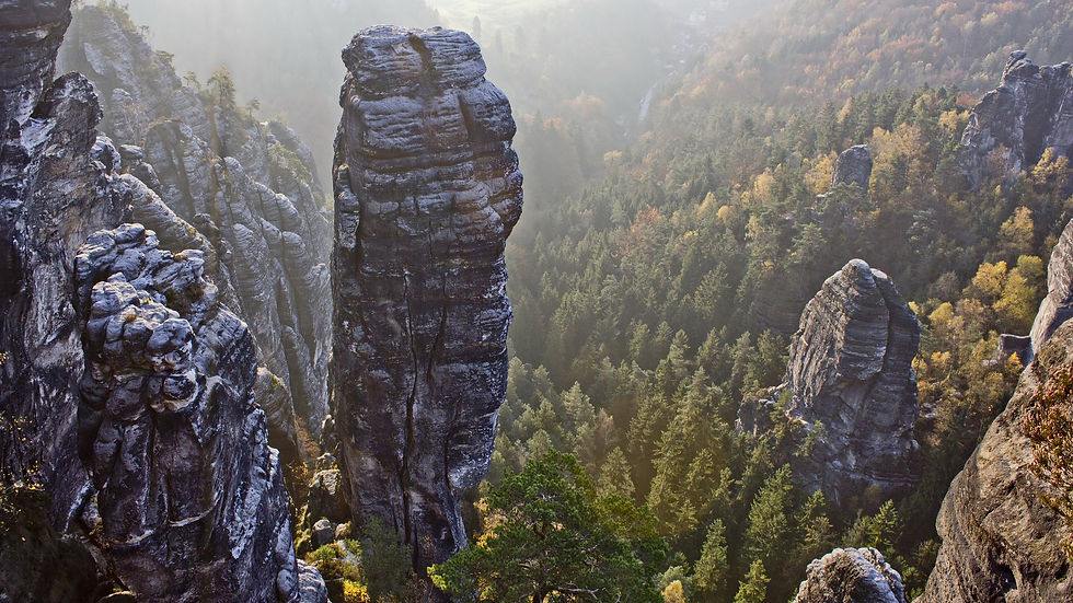 Felsformationen mit Wald in der Sächsischen Schweiz
