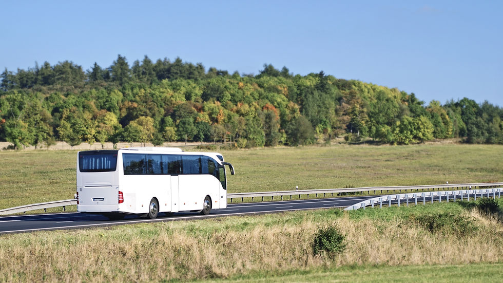 Weißer Bus auf der Straße mit Wald im Hintergrund