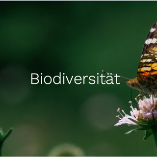 biodiversity