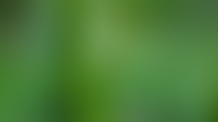 Publikation: Kunming-Montreal Global Biodiversity Framework