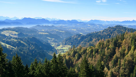 Studie: Auswirkungen regionaler Produkte auf die Wertschöpfung