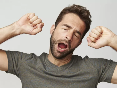 Many mammals are contagious yawners—this might be why