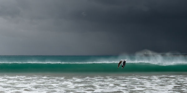 beach4.jpg