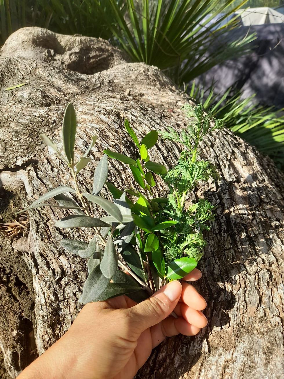 Miniaturbild: Clear Skin