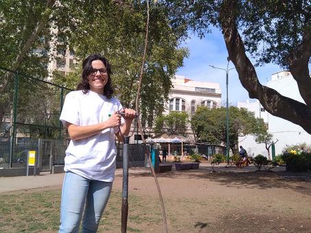 Jornada de restauración ecológica en la Plaza 1ro de Mayo