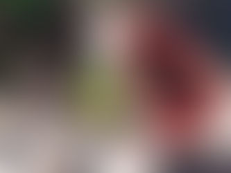 ¿Sabías que Semana del Árbol impulsa y coordina una Red de sembradores?