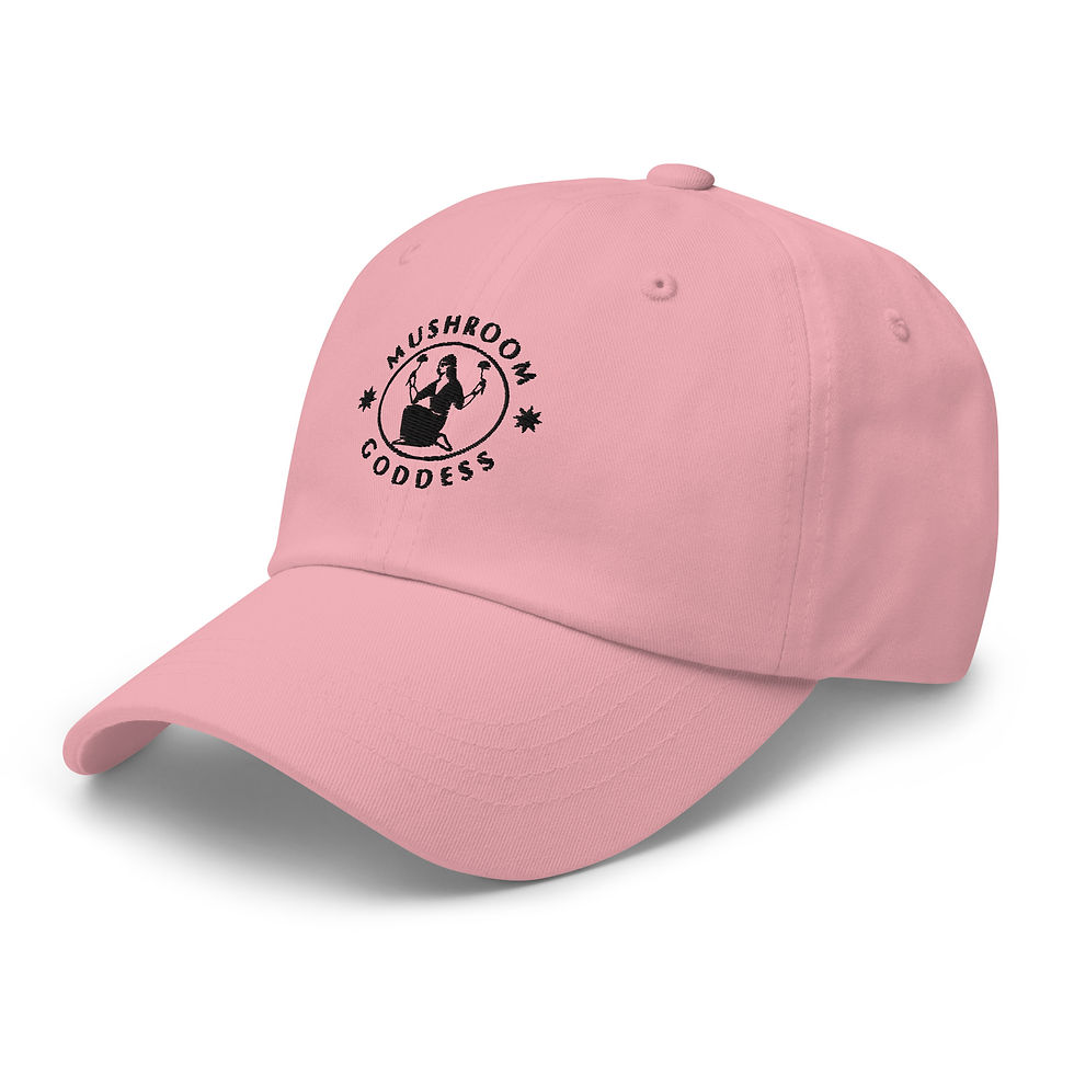 Thumbnail: Embroidered Dad hat
