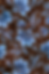 Thumbnail: PPS-SSH-370
