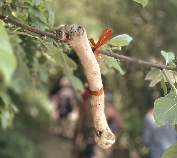 Photo from Joanna Gilar_edited.jpg