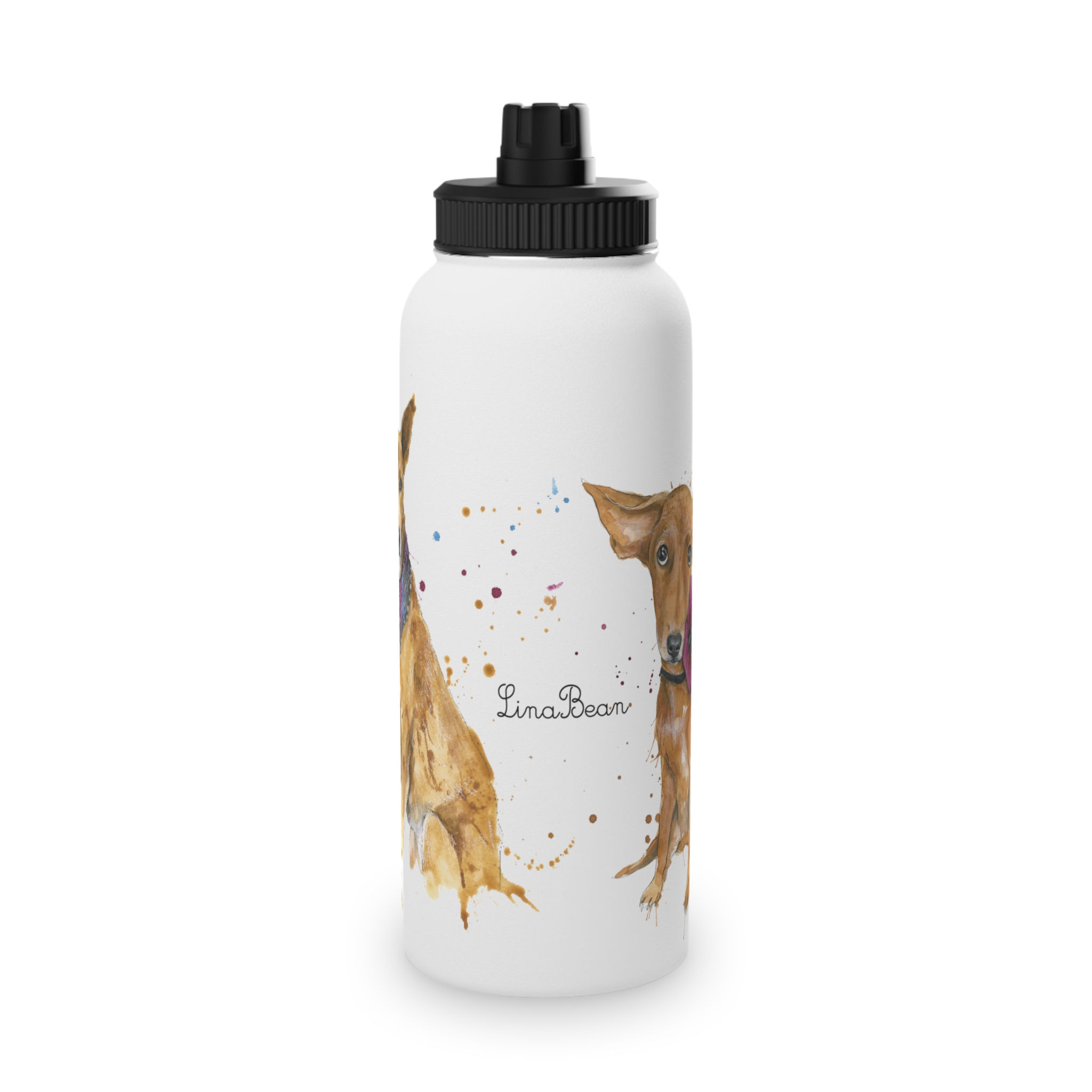 Lina bean Stainless Steel Water Bottle, Sports Lid