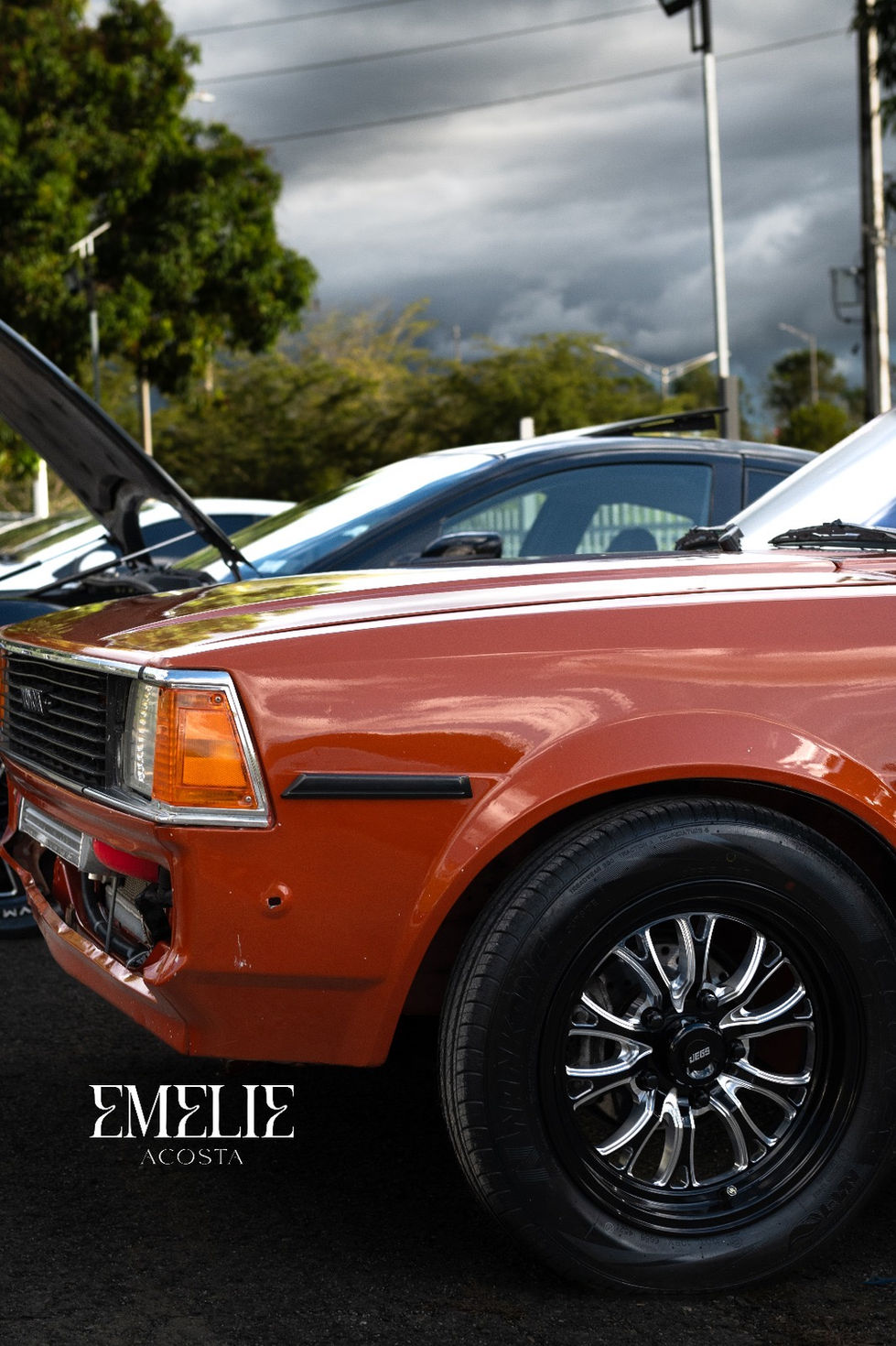 96fb9ce8-7926-4434-b981-5b12ffa13e54