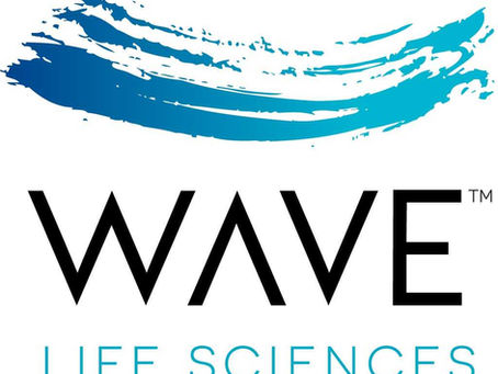 WAVE PRECISION-HD2 Community Update