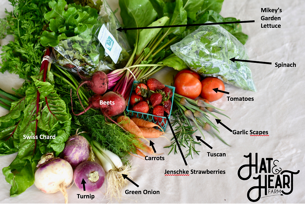 Thumbnail: Produce Bag B