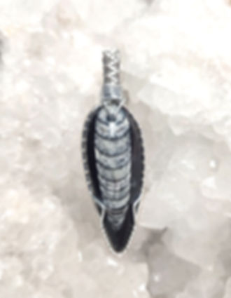 Pendentif en Orthoceras 