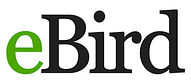 logo_eBird.png