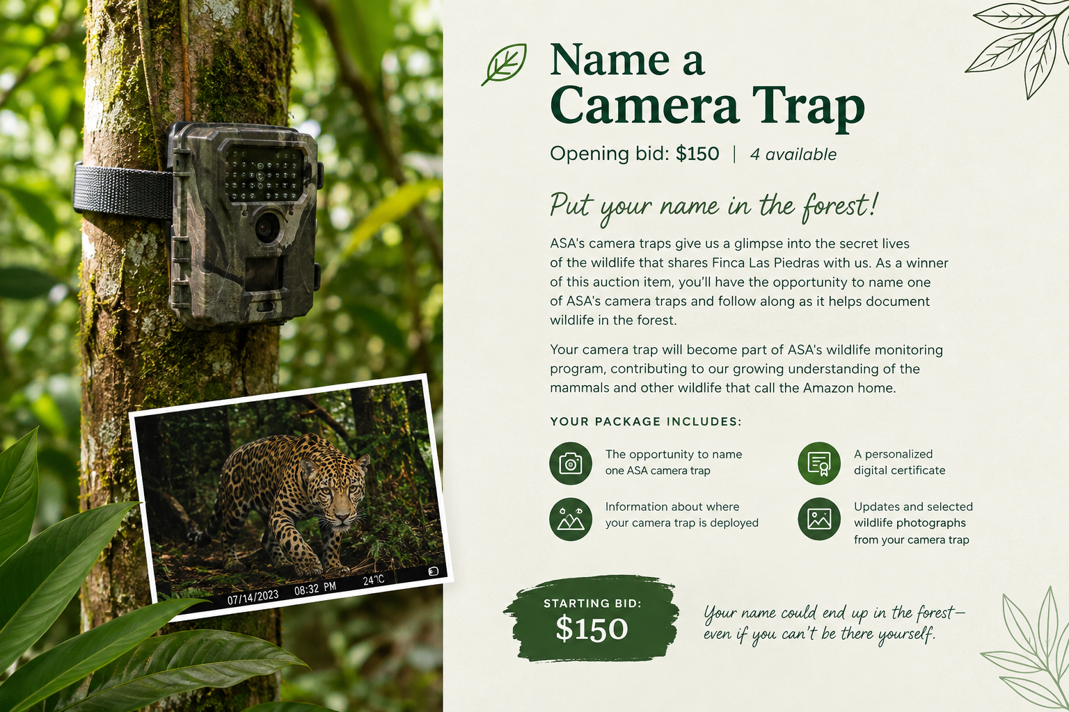 Name a Camera Trap 3