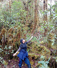 IMG-20230405-WA0027.jpg