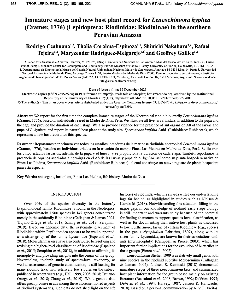13_thumbnail_Ccahuana et al. 2021_Immature stages Leucochimona.png