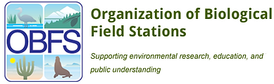 logo_OBFS.png