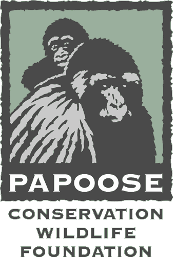 logo_papoose.gif
