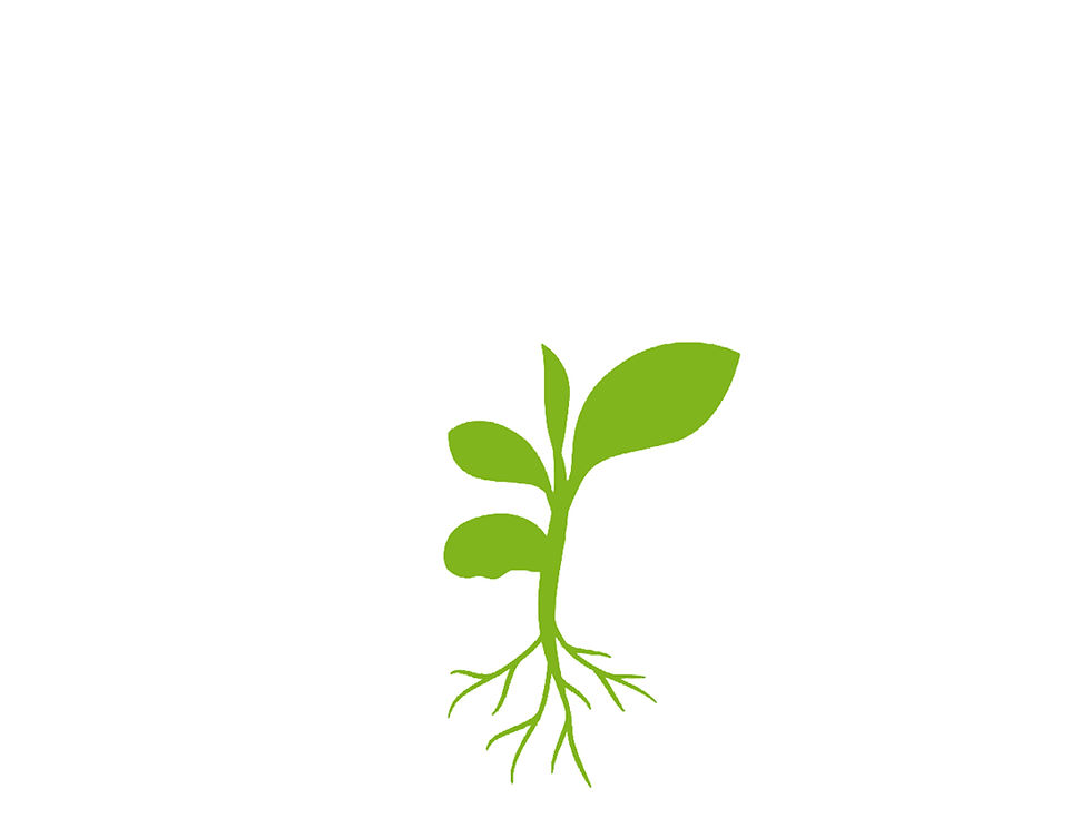 icons_trees_DonatePage_Seedling.jpg