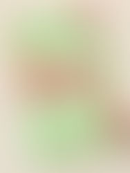 Fangirl by Rainbow Rowell