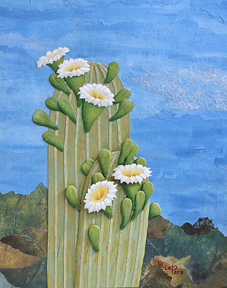 Blooming Saguaro Study