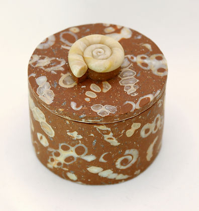Fossil Box I