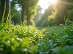 The Importance of Sustainable Living in Today's World