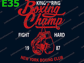 Boxing Champ.jpg