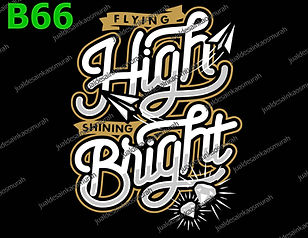 Flying High Shining Bright.jpg