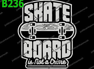 Skate Board.jpg