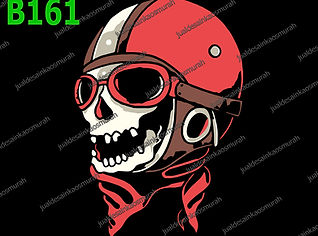 Pilot Skull.jpg