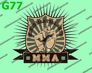 25930317 Mixed Martial Arts.jpg